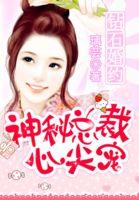 总裁护妻到底