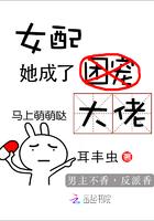 简一凌翟昀晟书名叫