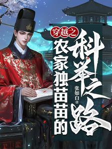 穿越之农家独苗苗的科举之路by