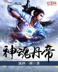 神魂丹帝顶点