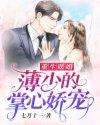重生暖婚薄少的掌上娇妻