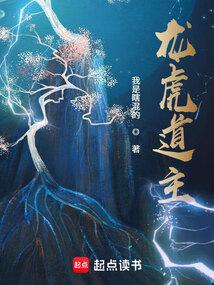 龙虎道主境界