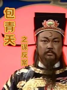 包青天破案的故事