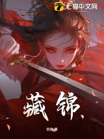 藏锦罗和地龙缎哪个好