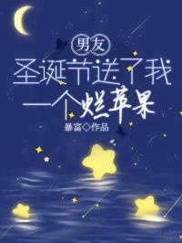 圣诞节男朋友只送了苹果
