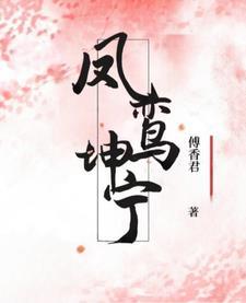 凤鸾坤宁百度