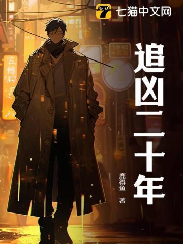 追凶二十年精彩视频
