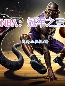 冠军之巅nba