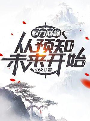 权力巅峰后续叫什么