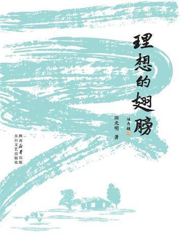 理想的翅膀第三自然段主要写了什么