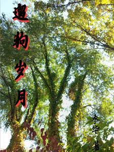 遛狗发朋友圈说说