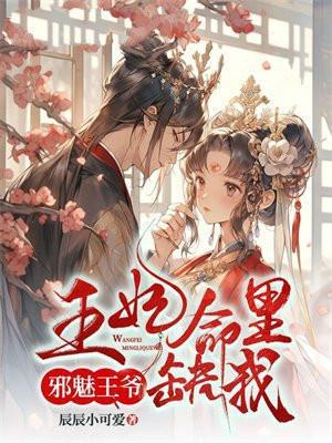邪魅王爷王妃要休夫