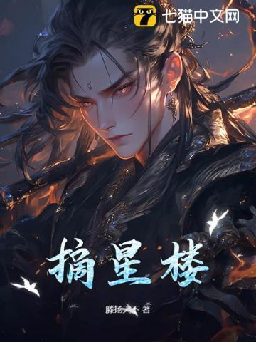 摘星楼主人