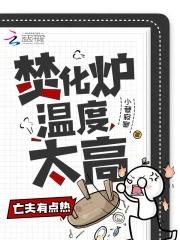 焚化炉操作