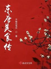 东唐美食传 不输出电压