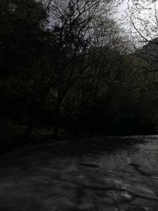 凝望仙路TXT全本