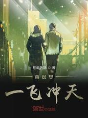 寓意一飞冲天的字