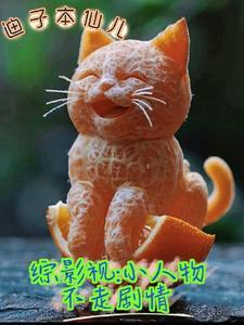 综影视小人物不走剧情完整版