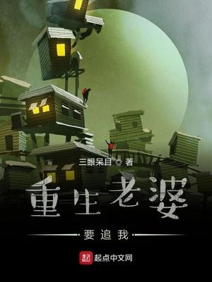 重生 追老婆