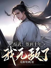 综武签到十年我无敌了第八区