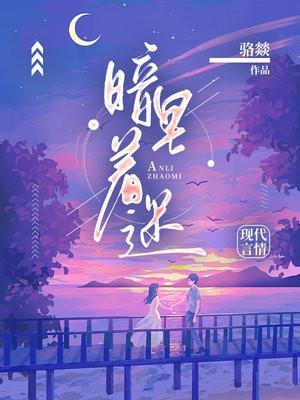 暗里着迷歌词表达什么意思