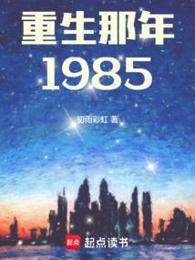 重生那年1985 笔趣阁