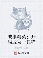 破事精英开局成为一只猫在线阅读