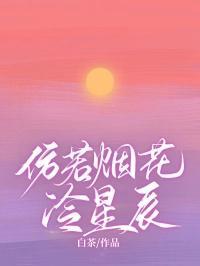 仿若烟花冷星辰全羨锦年