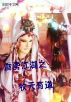 霹雳之天地玄婴
