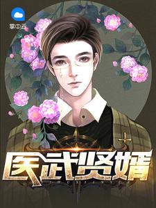最强上门狂婿叶锋免费阅读