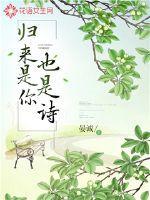 你归来是诗原文
