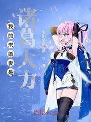 我未婚妻是诸葛大力