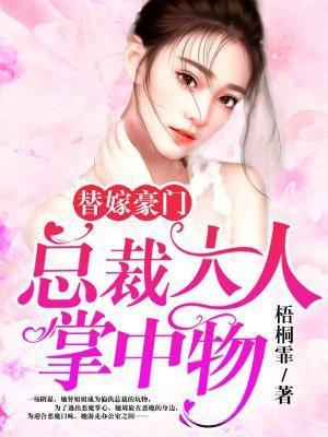 替嫁豪门总裁大人掌中物免费