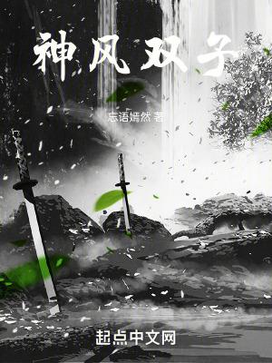 双子神魔队