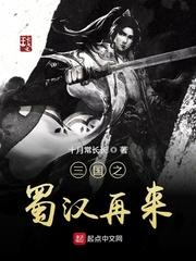 三国之蜀汉天下