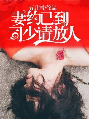 妻约33天免费阅读全文