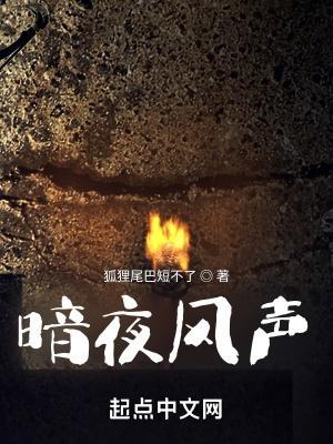 暗夜风声免费全文阅读最新章节