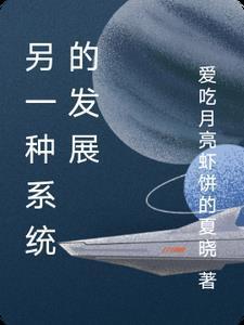 系统发展历程