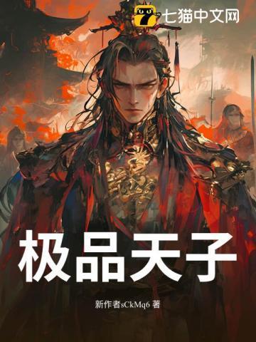 极品天子崇明