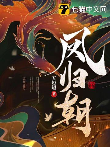 凤归朝梦溪石百度