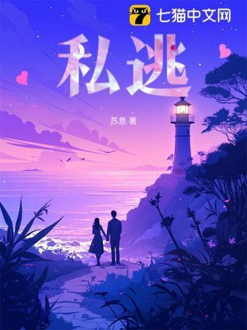 私逃司纯免费阅读
