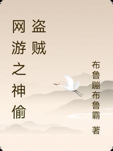 网游之盗神免费阅读