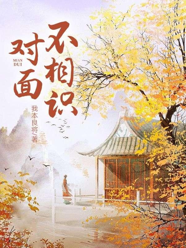 对面不相识我愿化作天涯