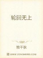 轮回无上顶级海岛材料