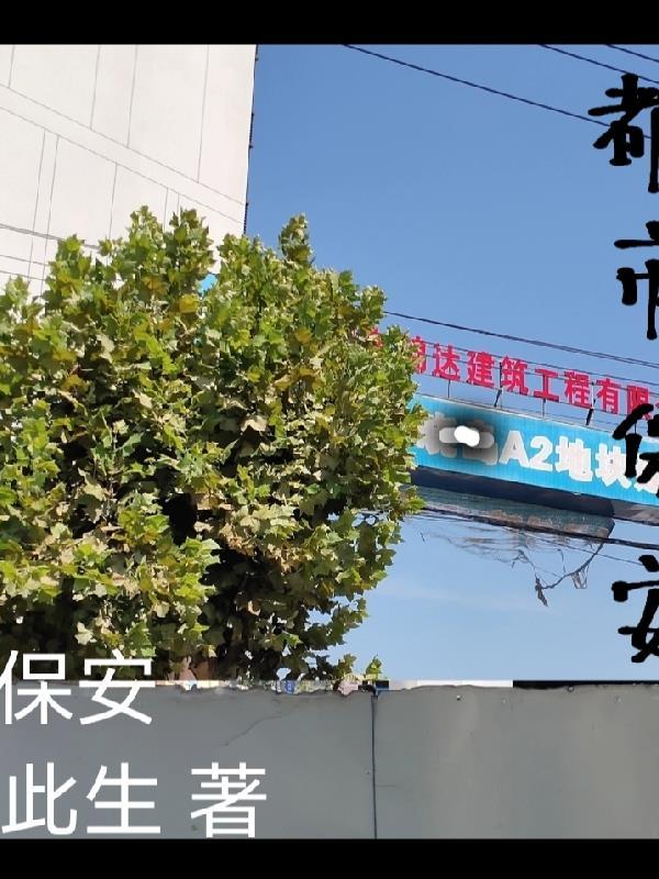 都市保安罗军免费阅读