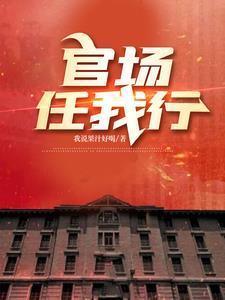 官场新人是哪部