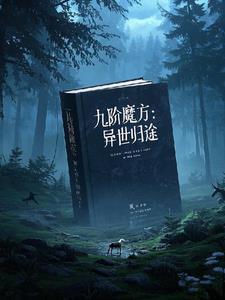 九阶魔方还原世界纪录