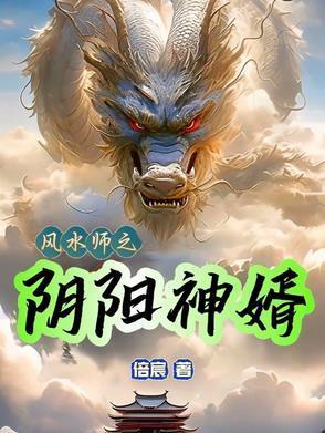 阴阳风水师电影