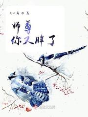 师尊又又又咸鱼了