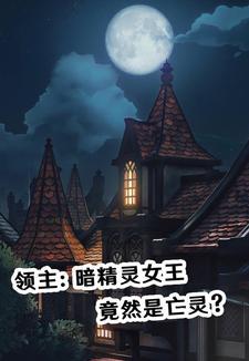 暗夜领主攻略